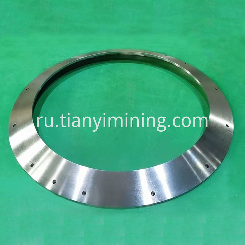 Bearing Ring Jpg